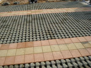 【濟(jì)南新順興水泥制品廠提供優(yōu)質(zhì)草坪磚植草磚讓停車場更加靚麗】_